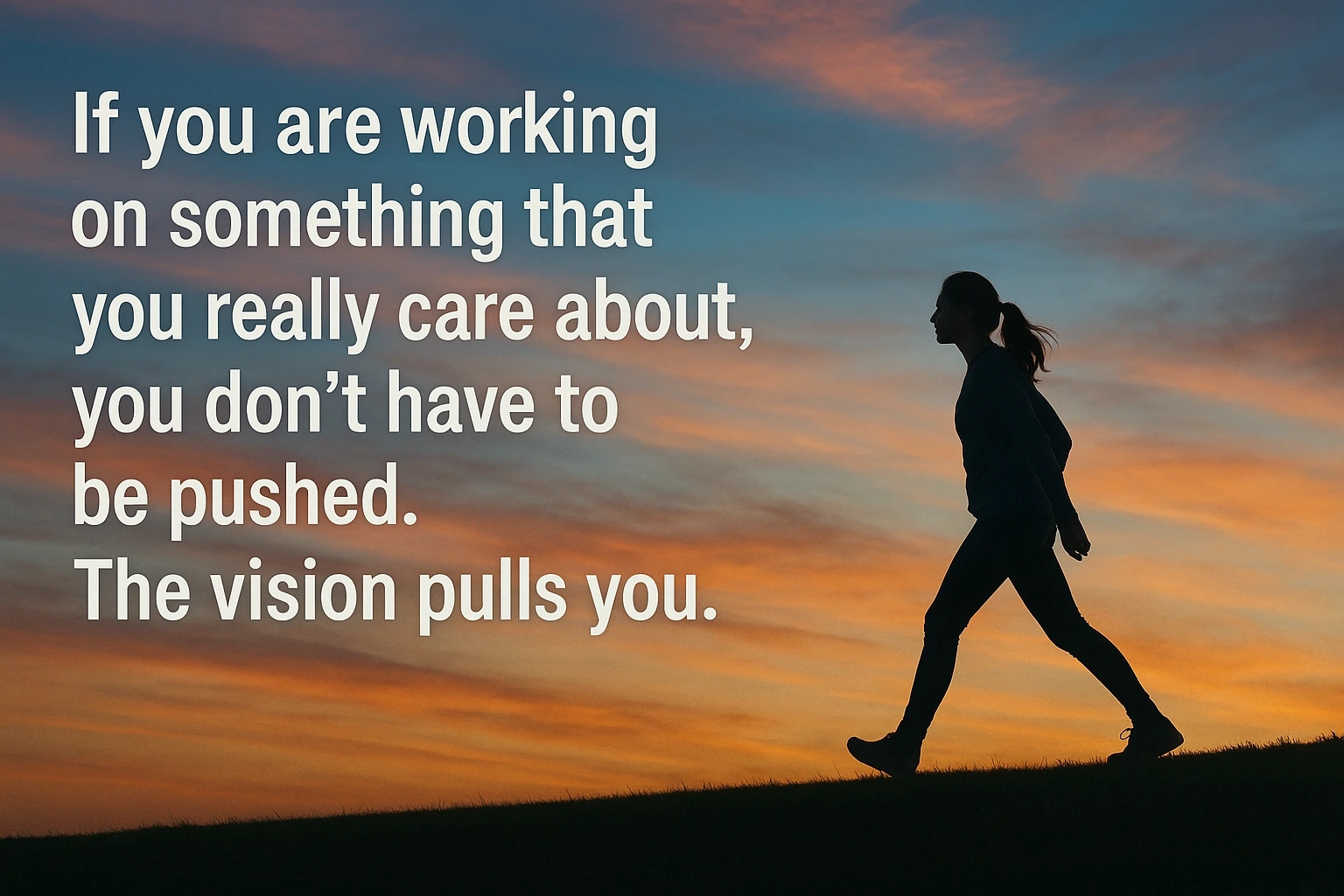 If you are working on something that you really care about, you don't have to be pushed. The vision pulls you.